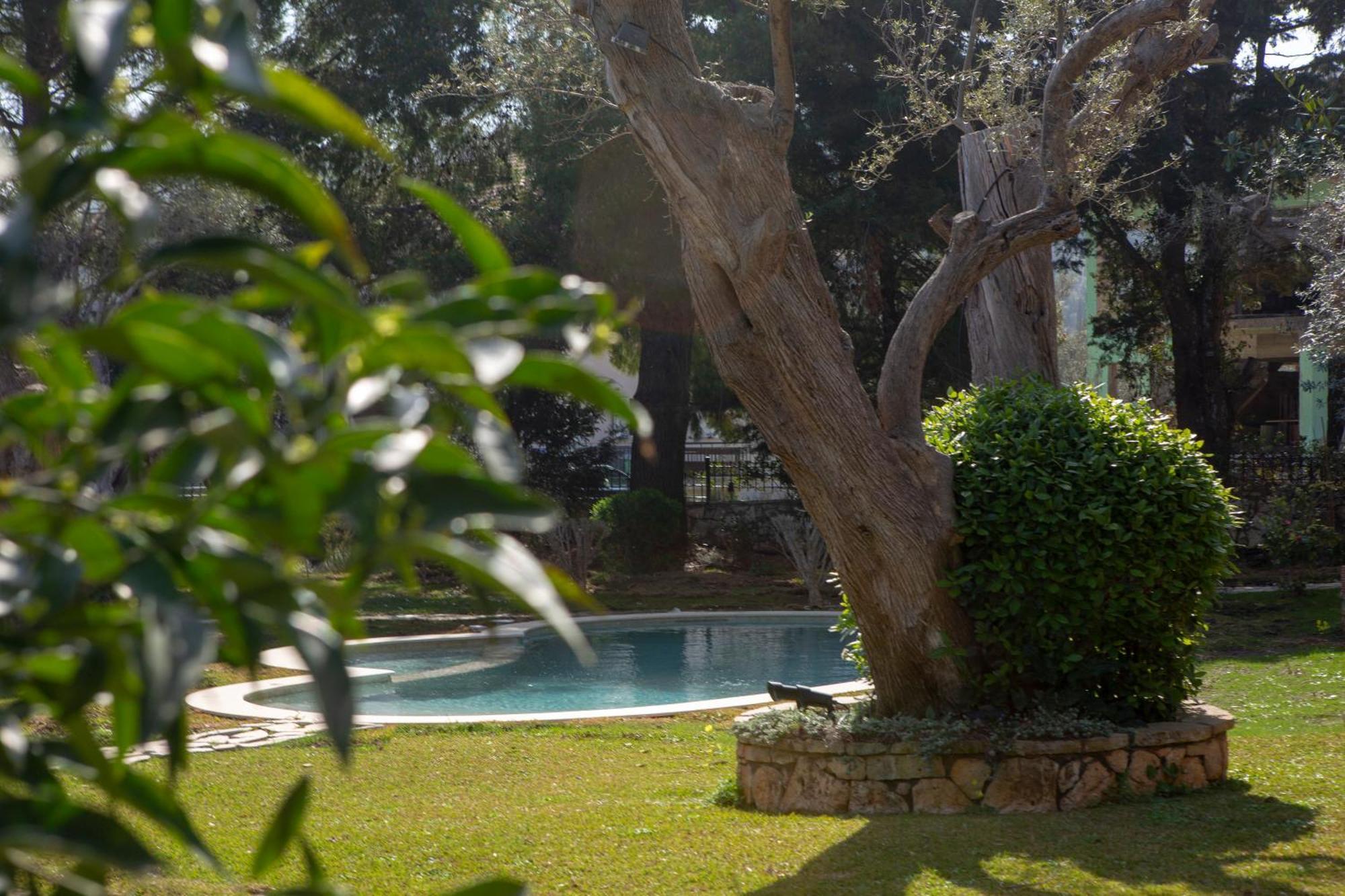 Poly'S Villa Lefkada Απόλπαινα Εξωτερικό φωτογραφία